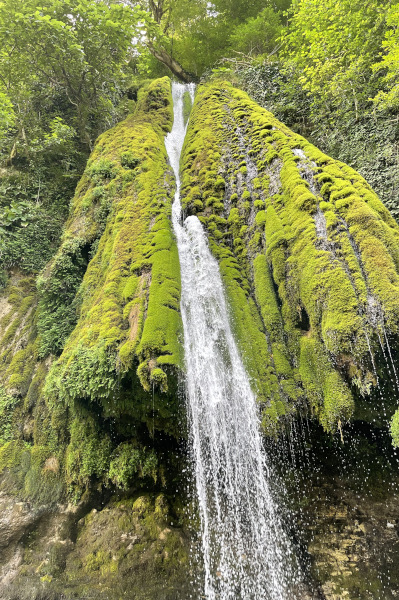nice fall in Samegrelo